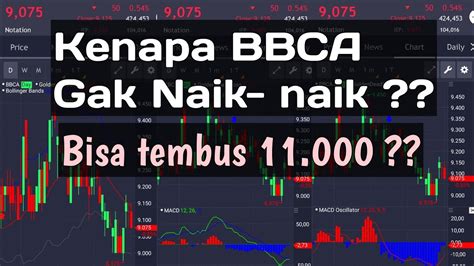 Kenapa Saham BBCA Gak Naik Naik YouTube