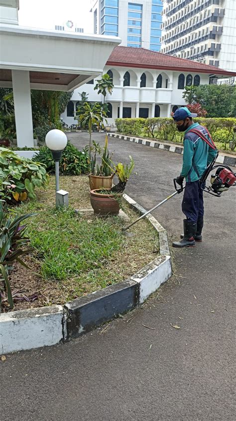 Jual Perawatan Taman Merapikan Rumput Di Kedubes Turkish Oleh