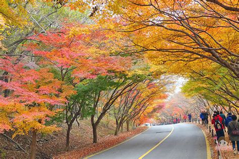 內藏山 內藏寺 韓國賞楓必去 內藏山地圖 53 說走就走！v歐妮旅行攝