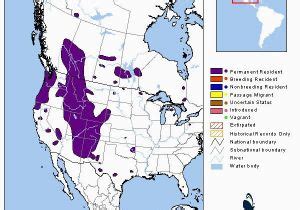 Colorado Elk Migration Map Colorado Parks Wildlife Species Profiles ...