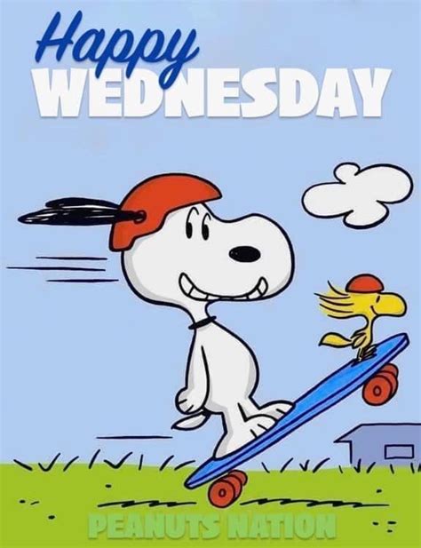 Pin by Melissa Carico on Snoopy in 2023 | Snoopy love, Happy wednesday ...