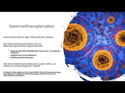 Stammzelltransplantation Voraussetzungen Ablauf Nebenwirkungen Und