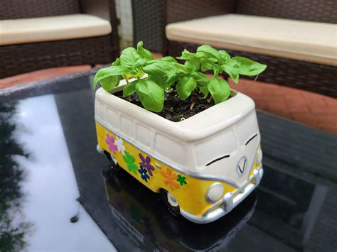 Vw Van Succulent Cactus Bus Planter Hippie Van Planter Fun Etsy Ireland