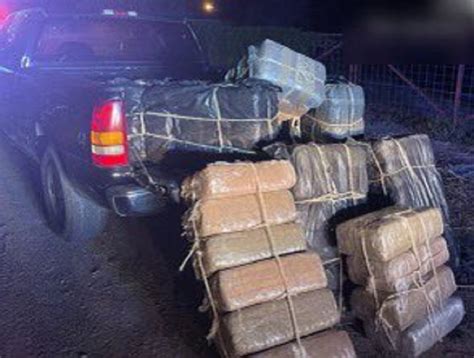 Texas authorities, Border Patrol make 463-pound marijuana bust | Fox News