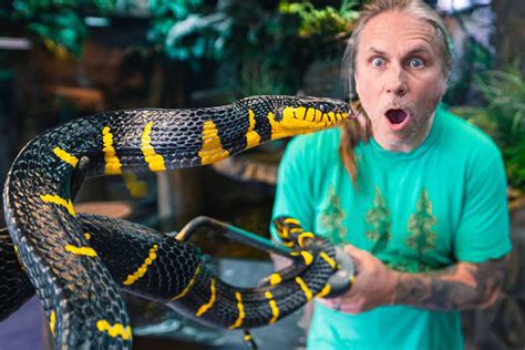 Reptile Zoo Owner with Cancer Says He Won't Live to See Aquarium Open