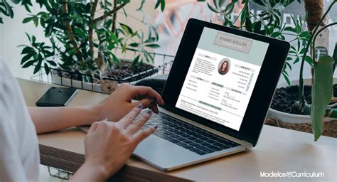 Curriculum Vitae Gratis Online Sin Pagar Plantilla