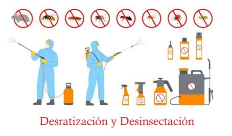 Las Diferencias Entre Desinsectaci N Y Desratizaci N