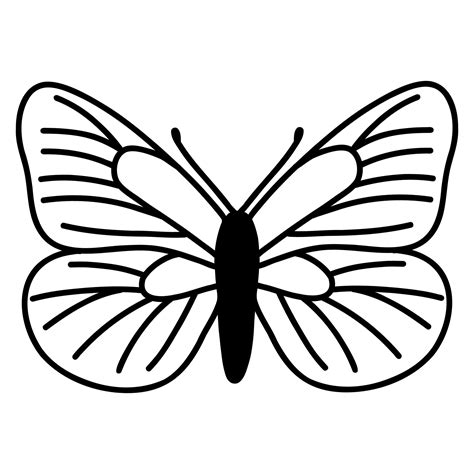 Hand Drawn Doodle Butterfly Vector Sketch Illustration Black Outline