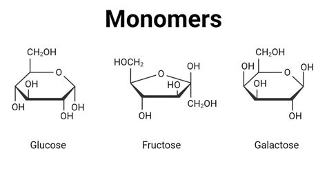 Monomers: Types, Examples, Classification, Uses