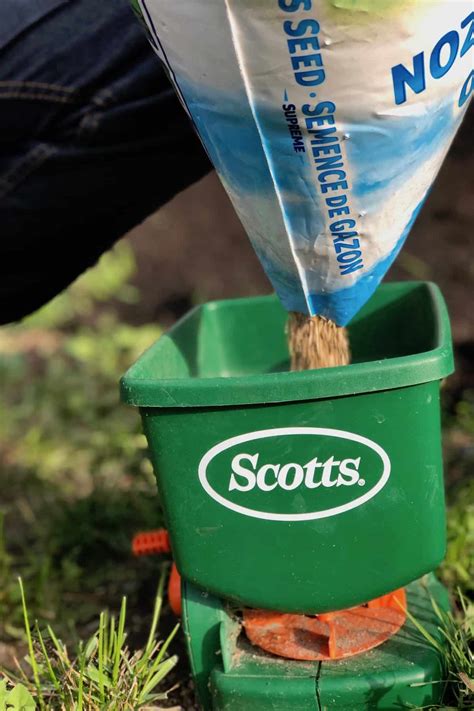 How to plant grass seed on hard dirt for a lush lawn 🌱🚜 Breaking ground