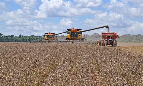 Estiman Que Por El Clima Se Perderán Us3300 Millones En Exportaciones