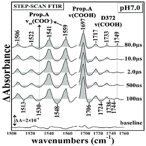 Time Resolved Step Scan Fourier Transform Infrared Trs Ftir