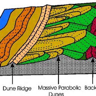 15. Parabolic dunes structure. (Source: PD, 2006). | Download ...