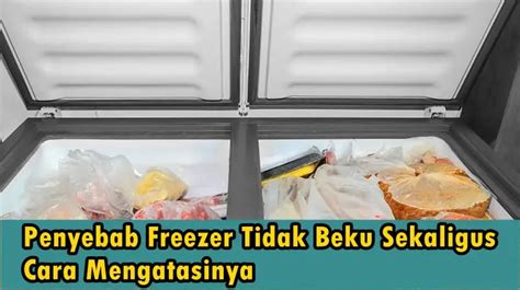 Penyebab Freezer Tidak Beku Sekaligus Cara Mengatasinya Dengan Mudah