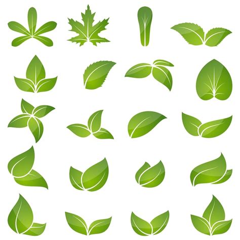 Premium Vector Green Leaf Icon Set