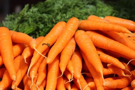 Carrot Lot Free Image Peakpx