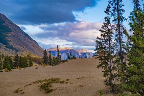 Deserts in Canada? A look at some of the country’s most desert-like