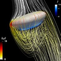 Phys Rev Fluids 9 094004 2024 Coupled Volume Of Fluid And Phase