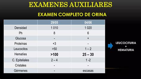 Caso Clinico Necrosis Tubular Aguda Ppt