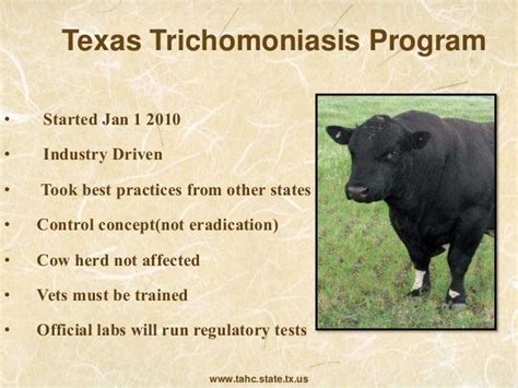 Dr Dee Ellis Bovine Trichomoniasis Trich” The Texas Story