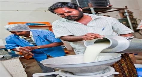 Giving Boost To Milk Productivity Meghalaya Gives A Willing Nod For