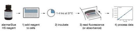 Alamarblue And Alamarblue Hs Microplate Assays Thermo Fisher