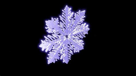 Animated Snowflake Stock Video Footage for Free Download