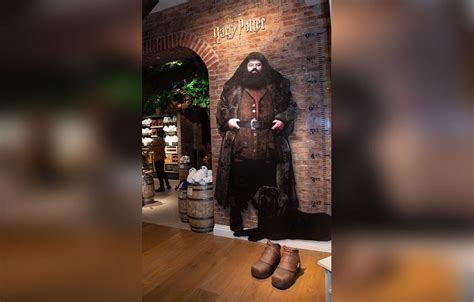 New Harry Potter Store Opens In NYC — See Photos Inside