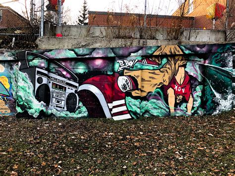 toronto graffiti street art ravina gardens mural artist project