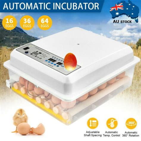 16 36 64 Egg Incubator Fully Automatic Egg Turning Hatcher Quail