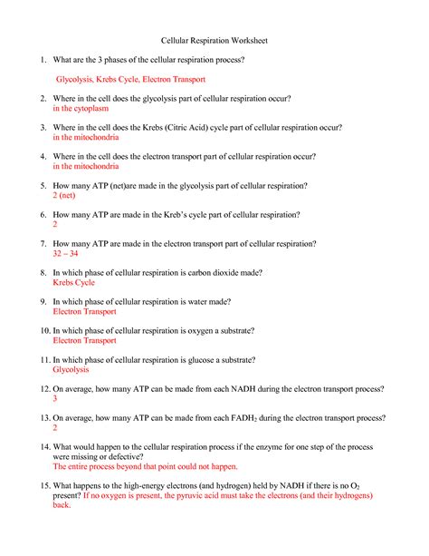 The Cell Cycle Coloring Worksheet Answers Algebra 1 Worksheets — Db