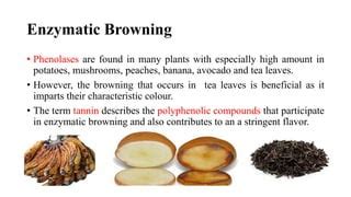 Browning reactions in foods | PPT