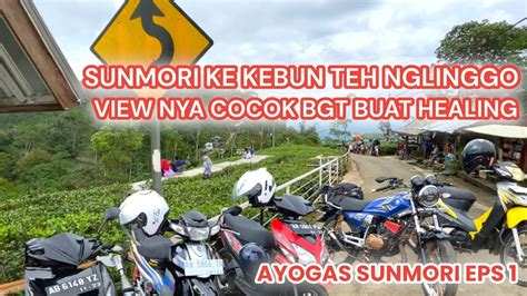 Sunmori Awal Tahun Ke Kebun Teh Nglinggo Kulonprogo Gimana Tanjakan