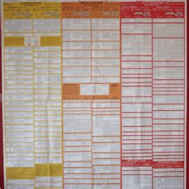 Musculoskeletal Archives - German New Medicine Practitioner