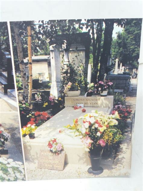 Edith Piaf Grave Cimeti Re Du P Re Lachaise Paris Vtg Postcard Simone