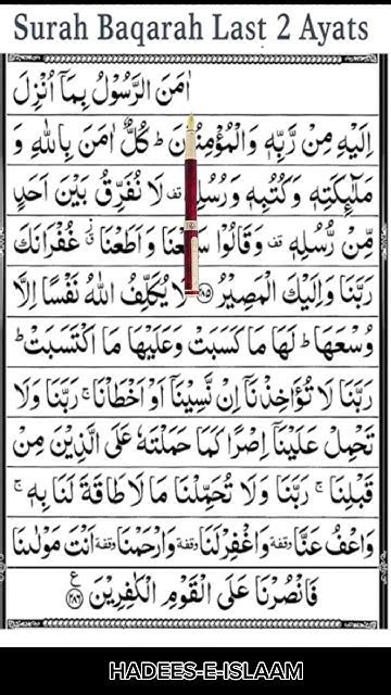 Last 2 Verses Of Surah Al Baqarah Shortsfeed Dua Tilawatequran Islam Youtube