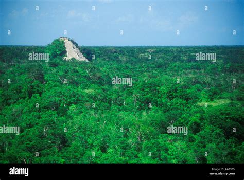 Maya Pyramide Ruinen Im Dschungel Bei Coba Yucatan Mexiko