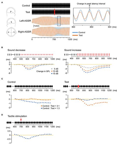 Frontiers The Auditory Steady State Response Electrophysiological