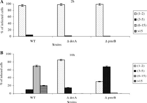 Single Cell Analyses Of Replicative Phagosomes At And H