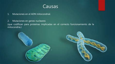 Enfermedades Mitocondriales PPT