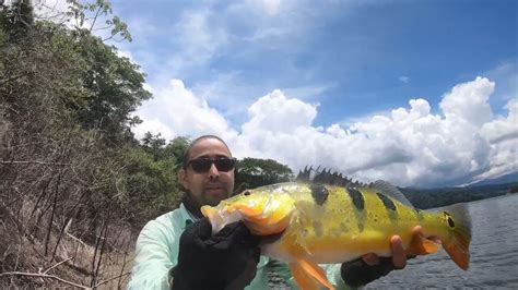 Pesca Tucunare Represa Topocoro Hidrosogamoso Betulia Santander