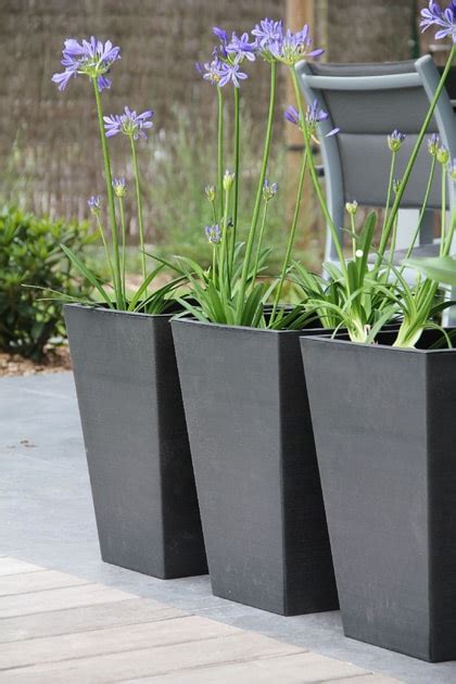 Potten En Bakken Voor Planten In Tuin En Op Balkon Vtwonen