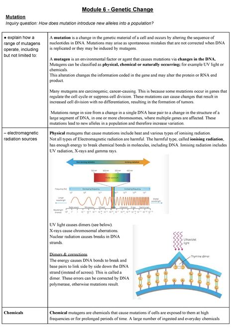 Module 6 Genetic Change Module 6 Genetic Change Mutation Inquiry