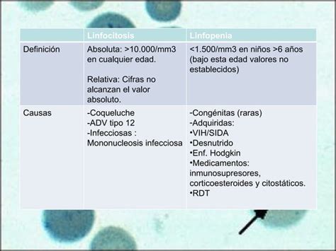 Interpretacion Del Hemograma PPT