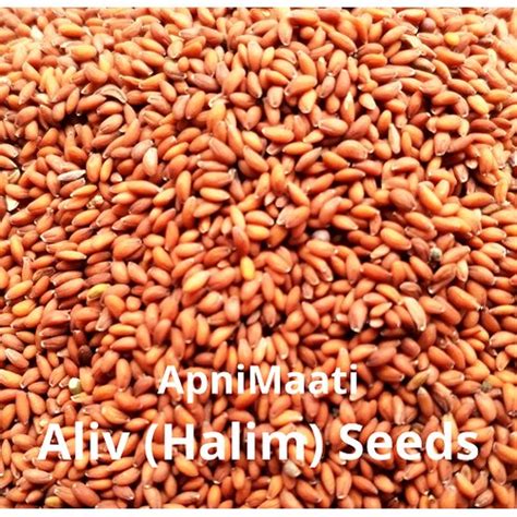 What Is Garden Cress Seeds Called In Hindi Fasci Garden