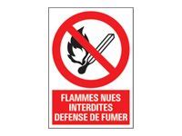 Goedkoop PICKUP Teken Naked Flame And Smoking Prohibited 230 X