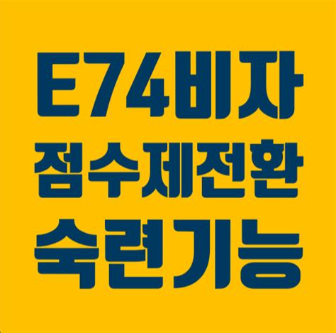 E74비자 변경 외국인숙련기능인력 점수제 비자 발급요건 네이버 블로그