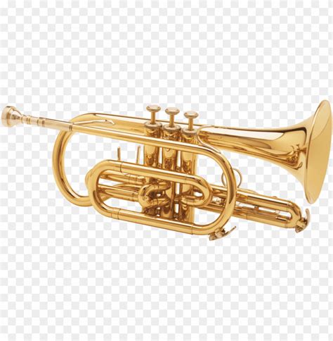 Transparent Background PNG Of Trumpet Image ID 16932 Png Free PNG