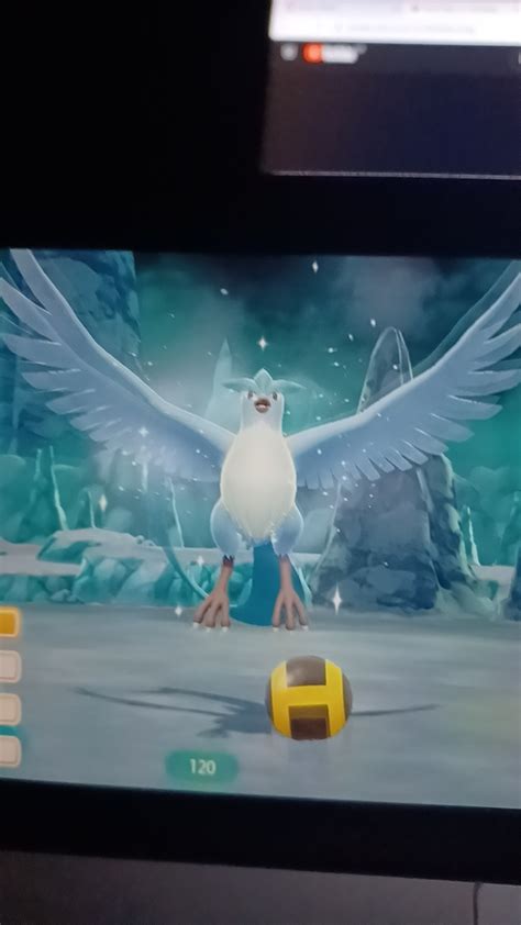 Best Articuno Images On Pholder Pokemongo The Silph Road And