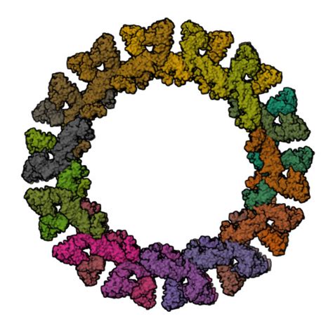 RCSB PDB 8CT1 CryoEM Structure Of Human S OPA1 Assembled On Lipid